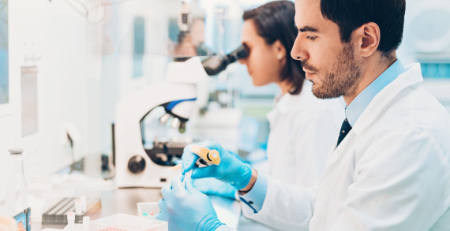 Universidade de Aveiro cria suplemento alimentar para reduzir o colesterol