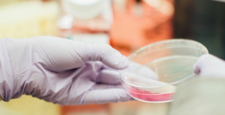Tafamidis aprovado na UE para o tratamento da miocardiopatia amiloidótica associada à transtirretina