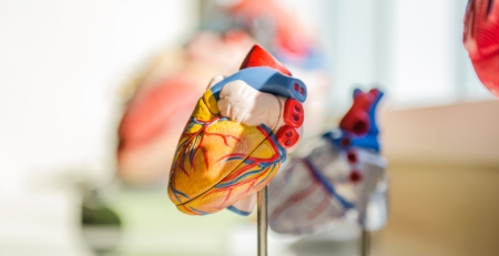 Medtronic anuncia extensão da indicação do sistema TAVI Evolut para tratamento de estenose aórtica grave e baixo risco de mortalidade cirúrgica