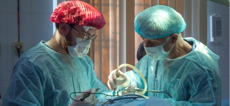 Transplantes de coração de porcos para humanos possíveis dentro de três anos