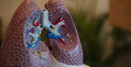Ciclo de webinars promove a literacia em saúde na comunidade de hipertensão pulmonar