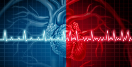 “Naxos study: risk of bleeding with oral anticoagulants in nonvalvular atrial fibrillation patients in France”