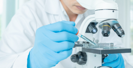 Identificadas células-chave para prevenir a aterosclerose no síndrome da progéria