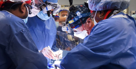 Coração de porco transplantado pela primeira vez com sucesso numa pessoa