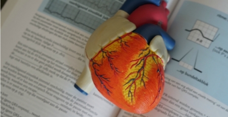Doenças cardiovasculares são a principal causa de morte nas mulheres