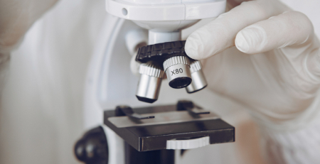 Investigadores estudam novas opções terapêuticas para a hipertensão arterial pulmonar