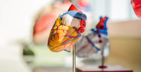 Especialistas afirmam que encargos com doenças cardiovasculares estagnaram