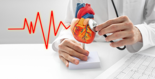 "Frontiers in CardioVascular Biomedicine" realiza-se já esta sexta-feira