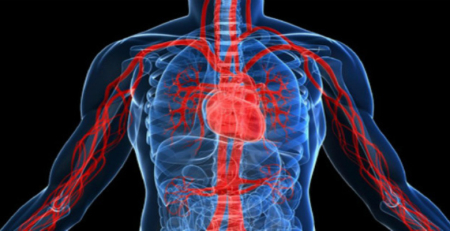 Hospital de Trás-os-Montes usa nova técnica para tratar aneurisma da aorta abdominal